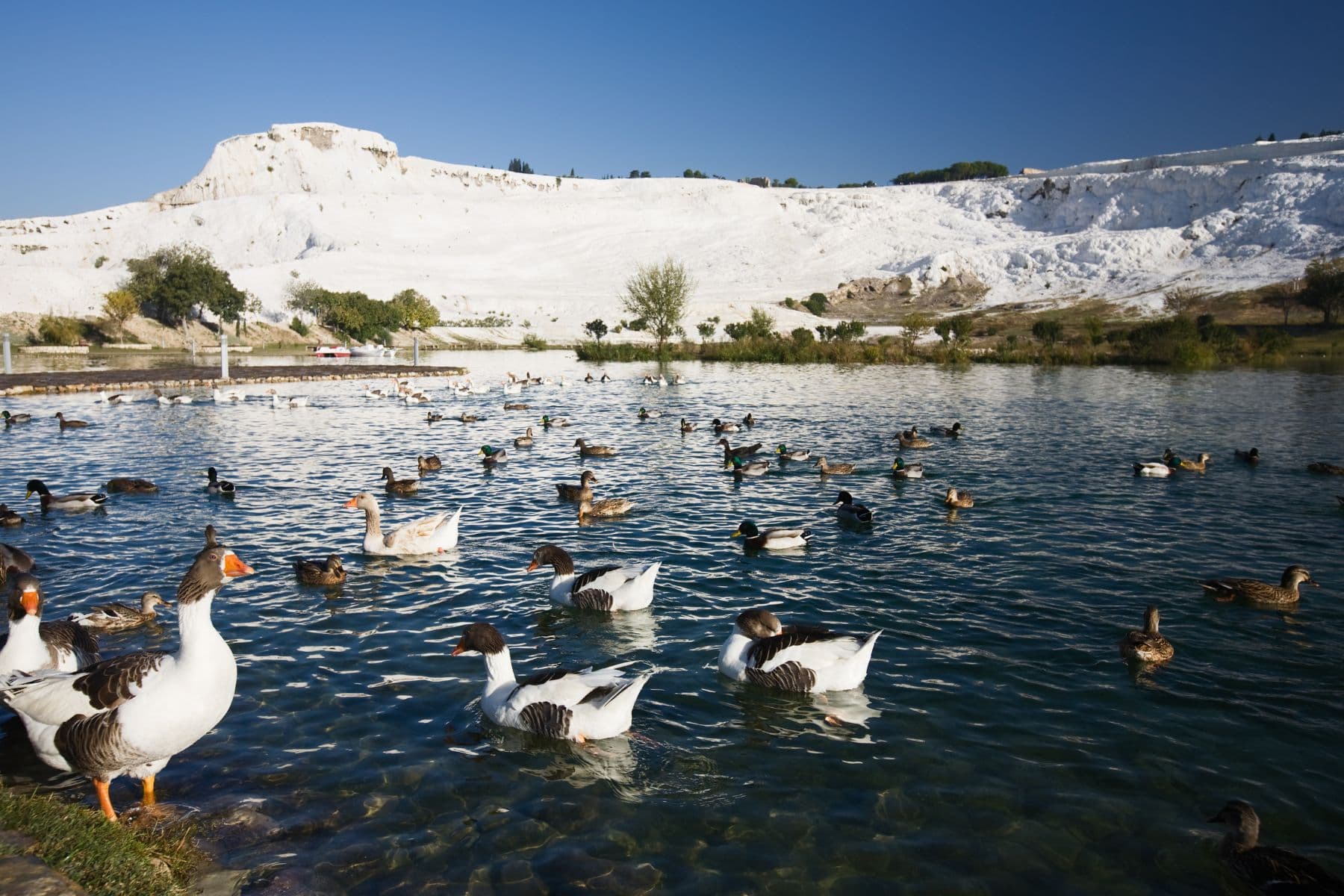 Pamukkale 333