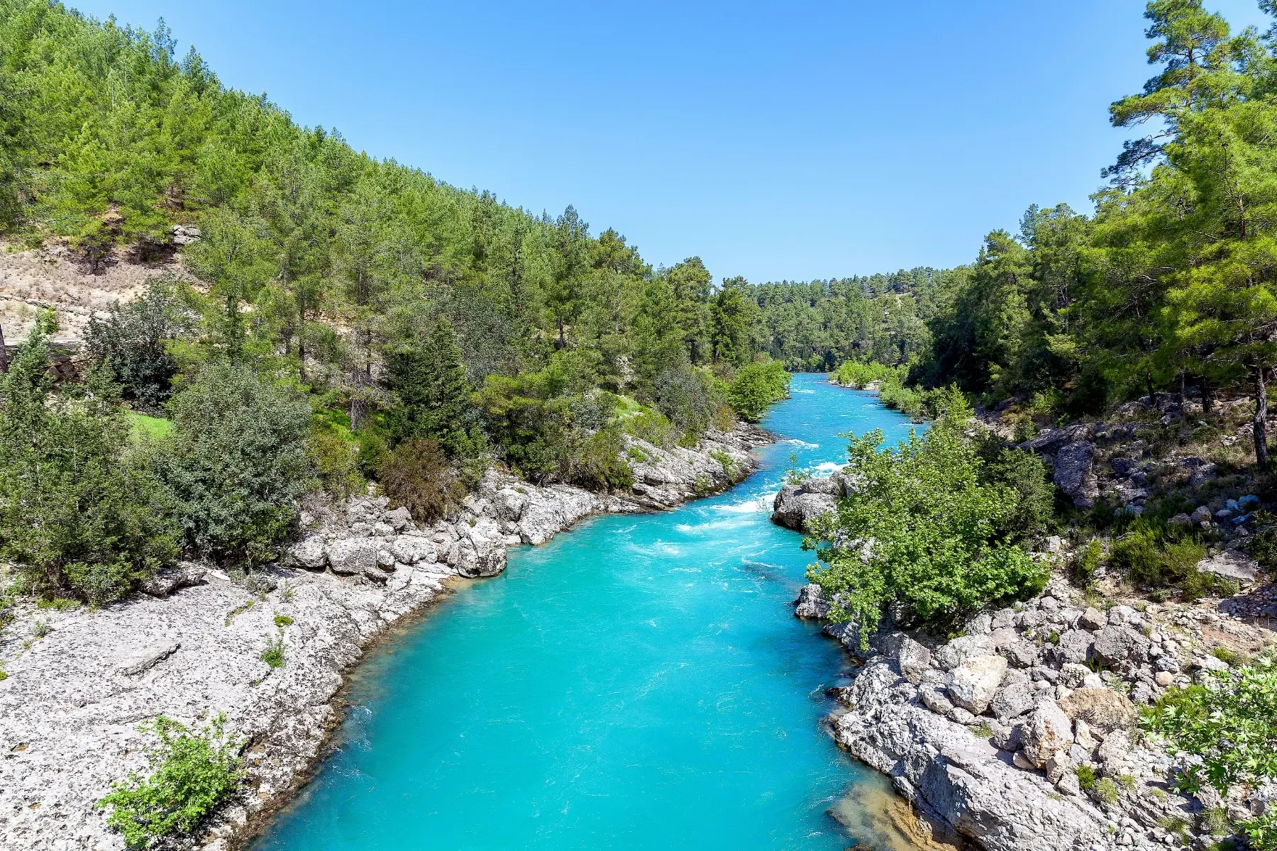 White Water Rafting Trip